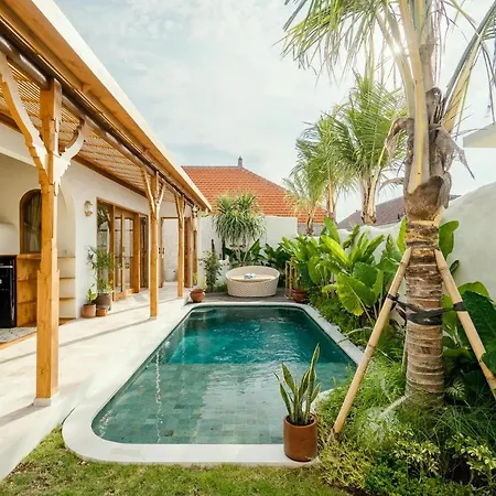 Canggutopia By Alfred In Bali