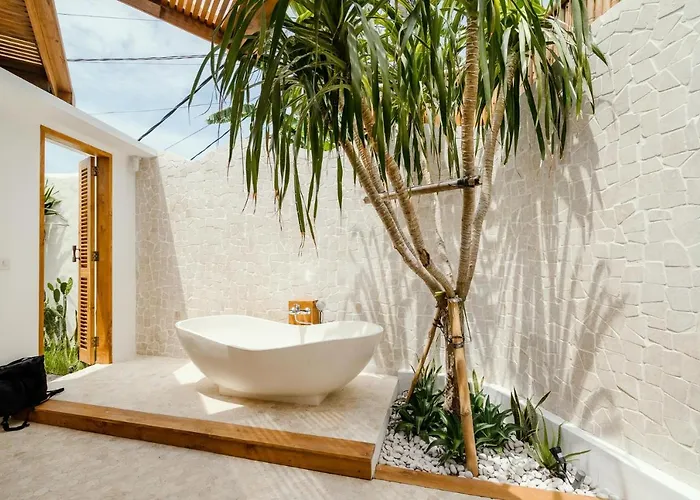 Canggutopia By Alfred In Bali